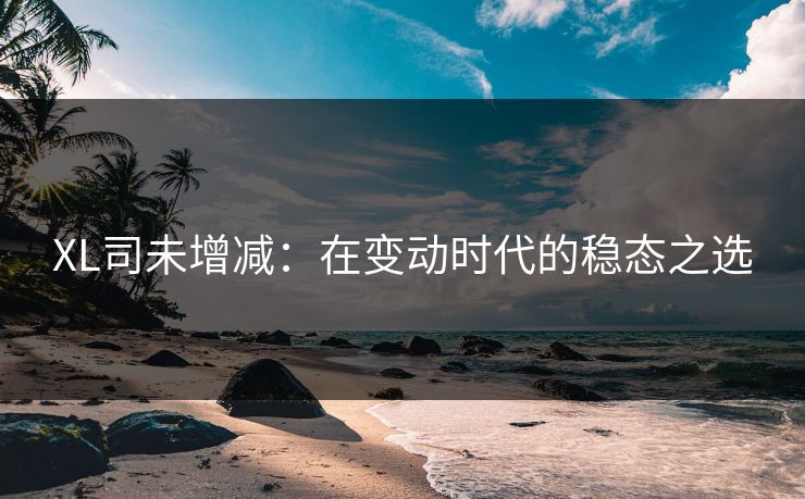 XL司未增减:在变动时代的稳态之选 XL司未增减:在变动时代的稳态之选