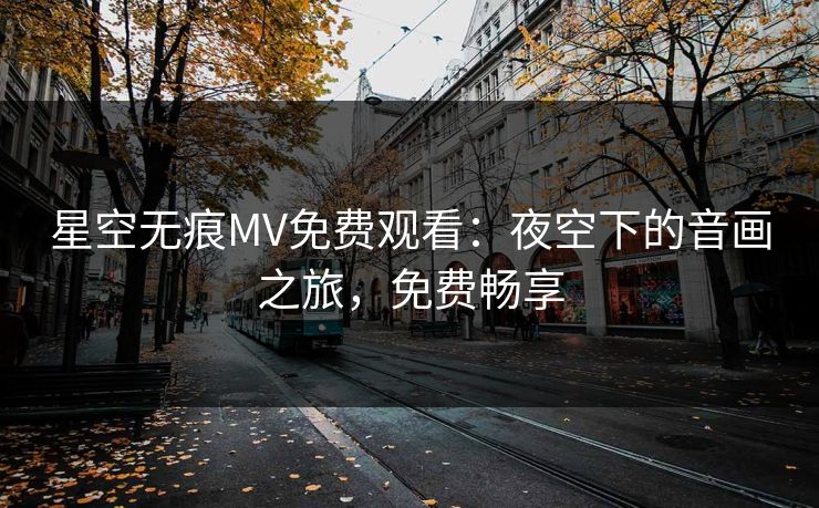 星空无痕MV免费观看：夜空下的音画之旅，免费畅享